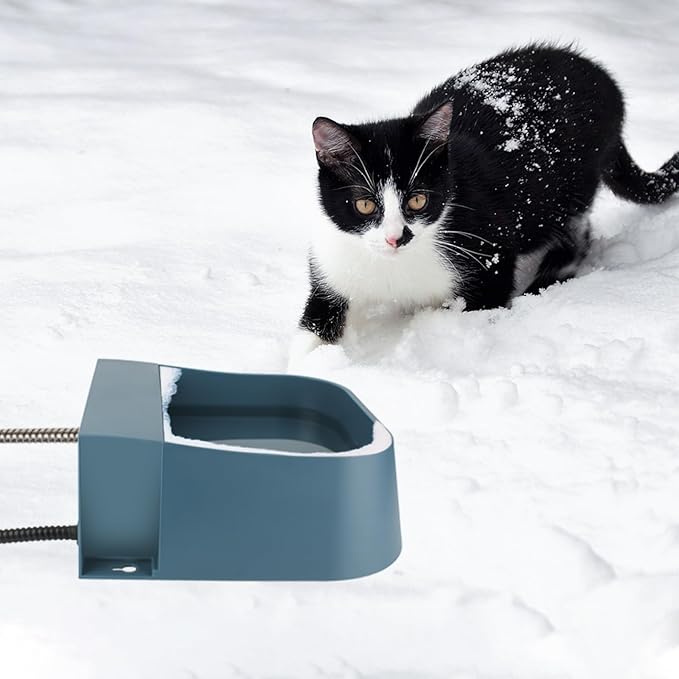 Automatic Heated Water Bowl for Dogs Cats, Outdoor Heated Dog Bowl with Auto Fill, 2L Winter Heating Waterer Provide Drinkable Water for Chickens, Rabbits, Birds, Goats, Feral Animal