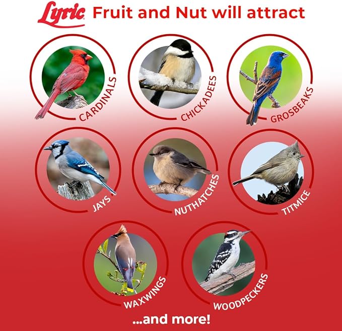 Lyric Fruit and Nut Wild Bird Seed - High Energy Wild Bird Food Mix - Attracts Woodpeckers, Chickadees & Other Songbirds - 10 lb. (pack of 2 - 5 lb bags)