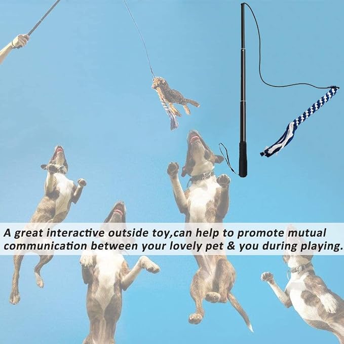 Flirt Pole for Dogs, Interactive Teaser Wand with 1 Fleece Rope Toy for Chase and Tug of War, Durable for Large & Medium Dogs, Outdoor Exercise & Training