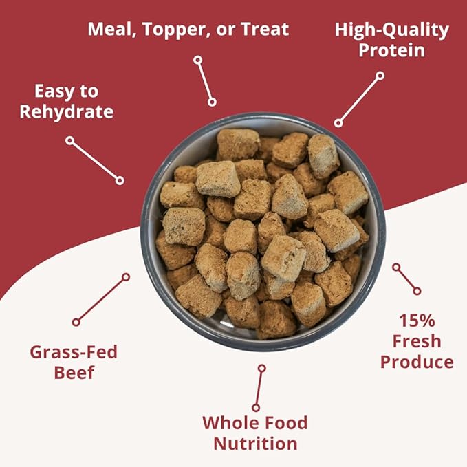 Steve's Real Food Freeze-Dried Raw Nuggets - Beef Recipe - Raw Pet Food for Dogs - 20 oz
