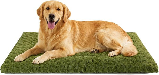 Washable Dog Bed Mat Ultra Soft Dog Crate Pad Comfy Fluffy Pet Kennel Beds Sleeping Mattress for Large Jumbo Medium Small Dogs Green