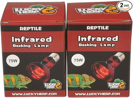 LUCKY HERP Reptile Infrared Basking Bulb,Terrarium Lighting Lamp,2-Pack (75, Watts)