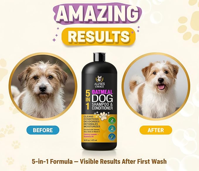 Oatmeal Dog Shampoo and Conditioner for Itchy Skin Relief | Puppy Shampoo for Sensitive Skin 5-in-1 | Cleans, Deodorizes & Detangles | Dog Wash for All Breeds | Made in USA | 16 fl oz | ALFIE'S CHOICE