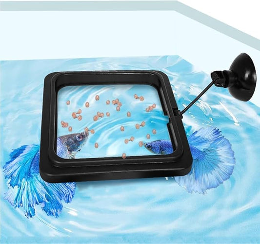 Fish Feeding Ring, Fish Safe Floating Food Feeder Circle Blue, with Suction Cup Aquarium, Square and Round Shape Fish Tank Towels - for Guppy, Betta, Goldfish, Etc (1 Square)