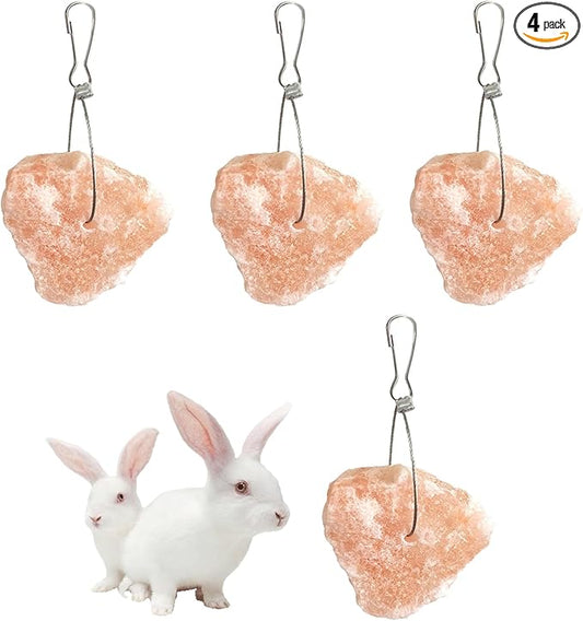PINVNBY Salt Blocks for Rabbits,4 Pieces Himalayan Small Pets Lick Salt Block Natural Mineral Salts with Hook Hanging Small Animals Chew Toys for Horses Bunny