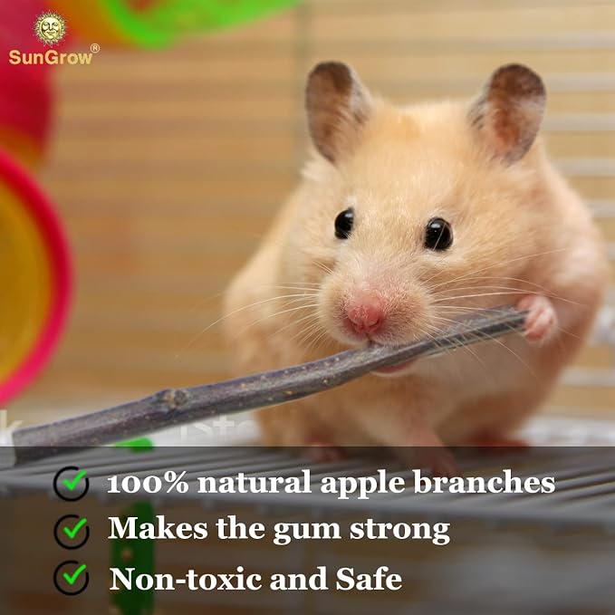 SunGrow Apple Sticks, Wood Chew Treats for Rabbits, Chinchillas, Bunny, Hamster, Squirrel, Guinea Pigs, Small Animals Teeth Grinding 100g (3.5 oz)