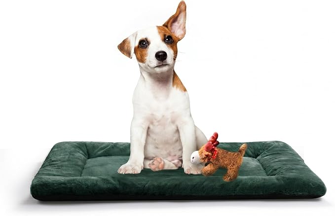 Dog Beds Crate Pad for Medium Dogs Fit Metal,Ultra Soft, Washable & Anti-Slip Kennel Pad for Dogs Cozy Sleeping Mat,Green 30inch