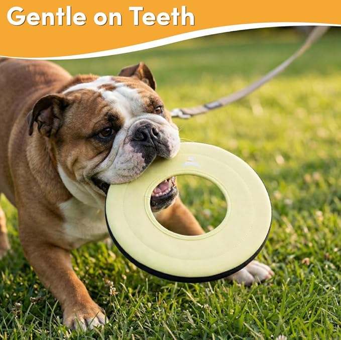 OllyDog Super Flyer, Floating Dog Disc for Water Play – Soft Durable Dog Fetch Toy, Eco-Friendly Recycled Material, Gentle on Teeth, Lightweight Flying Disc for Medium, Large Dogs (Sol, 11")