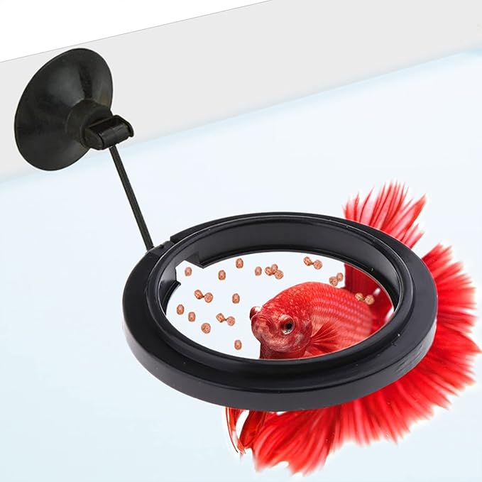 SunGrow Betta Feeding Ring, Prevent Water Turbulence from Washing Food into Filter, Practical Round Floating Food, Suitable for Guppy, Goldfish and Other Small Fish (3 Feeding Rings)