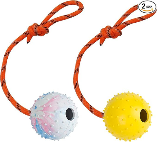 2 Pack Dog Ball, K9 Ball on Rope for Reward, Fetch, Play (6cm)