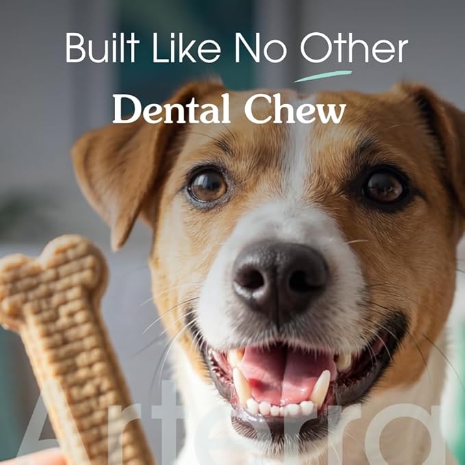 Arterra Pet Science Dog Dental Chews with Nano-Hydroxyapatite Next-Generation Daily Chews for Stronger Teeth, Fresh Breath, and Healthy Gut, 30 Count, Pack of 1