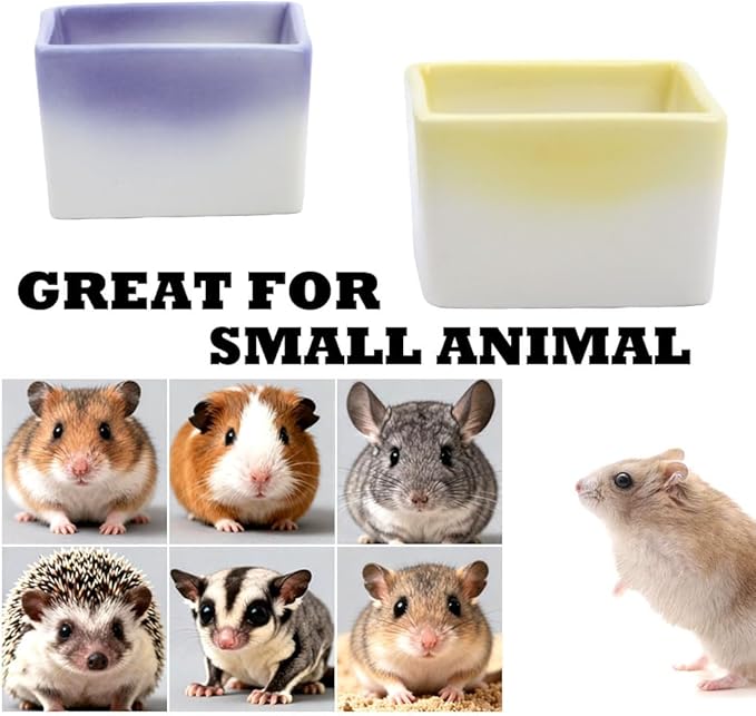 2 Pack Small Pet Ceramic Food Bowl and Water Dish Anti-Turning Cute Feeder for Hamster Guinea Pig Hedgehog Squirrel Rat (Purple and Yellow