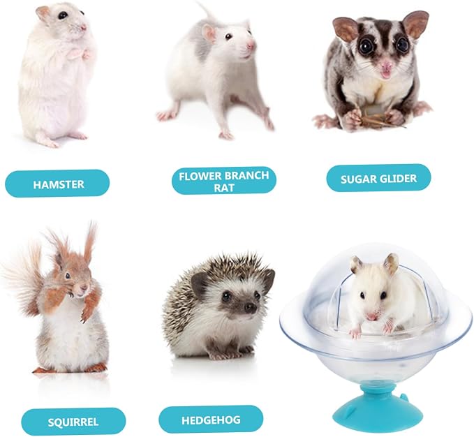 SUPVOX Hamster Sand Bath Box Small Pet Bathtub Easy to Dual Use for Hamsters and Guinea Pigs Design for Fun and Bathroom Accessory