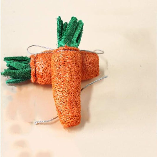 POPETPOP Rabbit Chew Toys - 2Pcs Carrot Shaped Hamster Toys Loofah Bunny Guinea Pig Bunny Chew Small Animal Chew for Chinchillas, Rat Teeth Cleaning