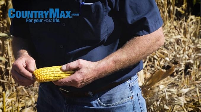 CountryMax Backyard Seeds Corn - High-Energy Animal Feed for Chickens, Squirrels, Deer & Wild Birds, Ground Feeding, High Protein - Corn Cob - 50 lbs