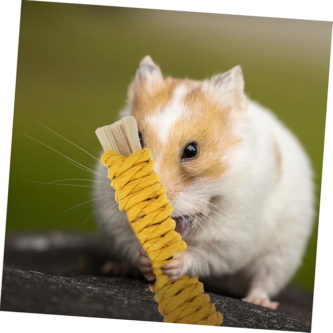 20pcs Small Animal Chew for Rabbits Guinea Pigs Hamsters Natural Wooden Sticks for Dental Care and Teeth Cleaning Safe Pet Chew Treats for Bunnies and Small Furry Pets