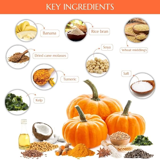 Kelcies Pumpkin Spice Horses Treats - Low Sugar, Starch, and Carbohydrates | Healthy Treats for Horse Supports Superior Digestion 2 Pounds (Pack of 2)