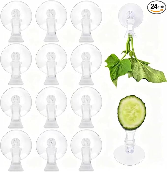 AccEncyc 12Pcs Veggie Clips Aquarium Seaweed Clips Fish Food Holder Wide Mouth Clips Plants Suction Cups Algae Clips for Freshwater and Marine Fish Tank (Plastic)