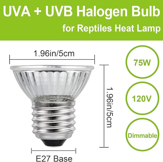 UVB UVA Reptile Light Bulb 75W Bulb for Reptiles and Amphibians Use for Turtle, Bearded Dragon, Lizard Cages Heat Lamp Replacement Bulb, Pack of 6