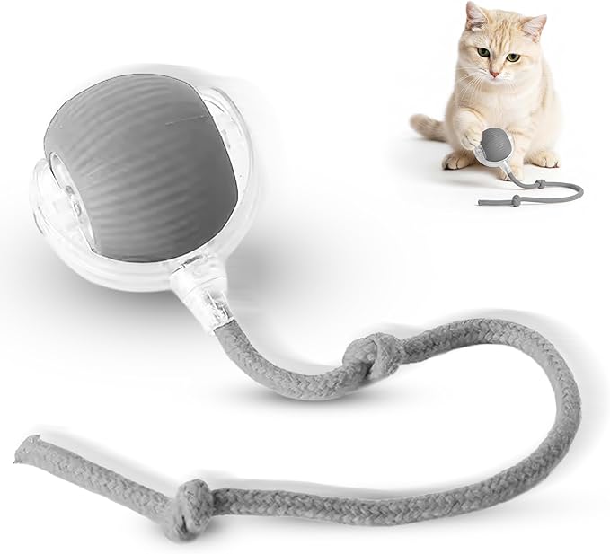 Smart Ball 2.0 - Automatic Cat Toy & Interactive Dog Toys for Small Dogs - Moving Cat Toy Ball for Indoor Cats - Motion Activated, Light Up, USB-C Rechargeable Pet Toy, 2 Speed Modes [Gray]
