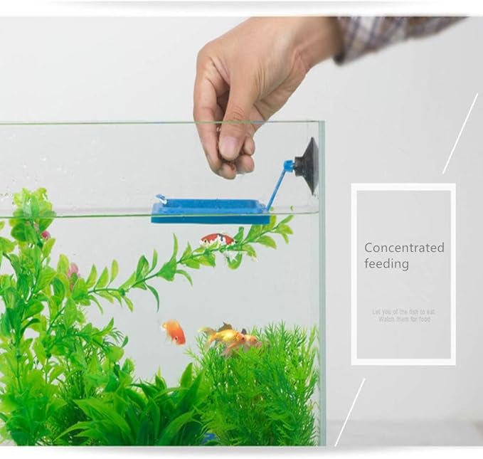 2 Pcs Fish Feeding Ring, Fish Safe Floating Food Feeder Circle Blue, with Suction Cup Aquarium, Square and Round Shape Fish Tank Towels - for Guppy, Betta, Goldfish, Etc. (Blue)¡­
