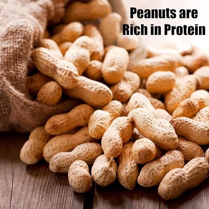 Old Potters in-Shell Peanuts, 25 lbs for Birds, Squirrels, and Wildlife. USA Grown Non-GMO, Small Farm, Raw in-Shell Peanuts. Wildlife Grade, 25 lbs.