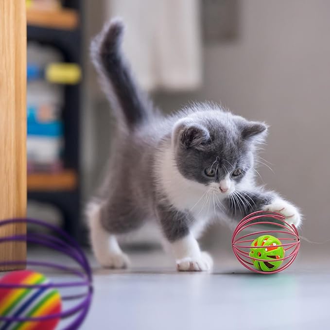 Andiker Cat Toy Ball,6pcs Cat Interactive Toy for Cats,Caged Mouse and Ball for Cats to Chase and Grab (Ball Toy)