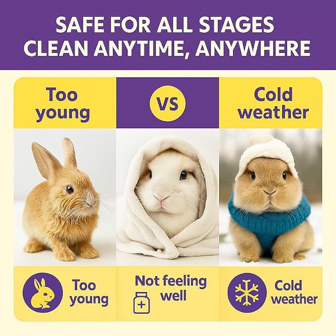 Rabbit Bath Wipes - Disposable Glove Design, Waterless No-Blow Clean, for Bunny Paws, Fur, Bottoms & Sensitive Areas, 6-Count (Pet Gloves Wipes 4 Packs (24 Pieces))