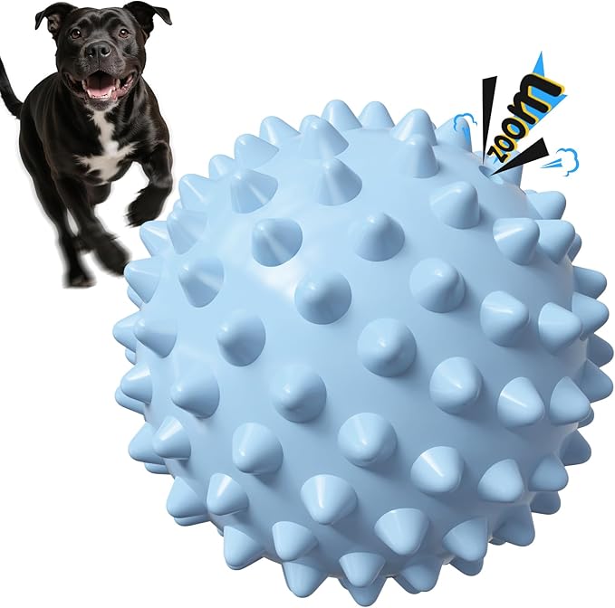 Apasiri 3.5" Durable Squeaky Dog Ball Toy for Puppy Medium Large Dogs(25-80 lbs): Bacon Flavored Blue Spiky Rubber Bouncing Floating Balls for Dogs, Tough Large Outdoor Dog Water Fetch Toys, Dog Gifts