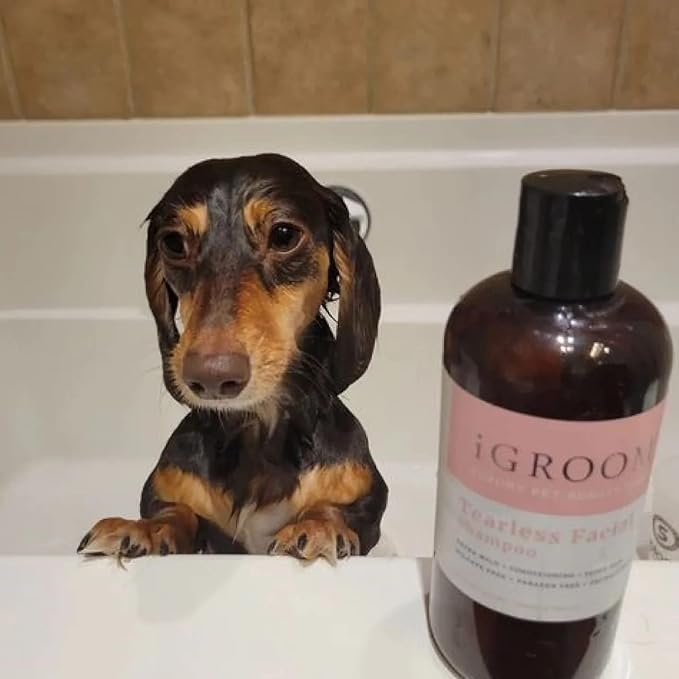 iGroom Tearless Facial Dog Shampoo, Luxury Pet Beauty Care, Ultra Mild to Eyes, Restore Skins Natural Moisture, Made in USA, 16 oz