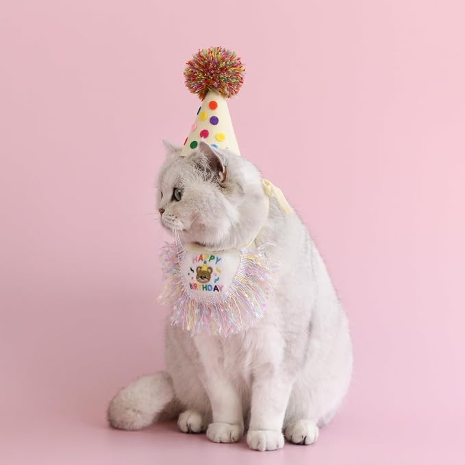 Cat Birthday Bandana Scarf and Party Hat Cute Tassels Bib Scarf and Birthday Hat Cat Birthday Party Decorations Set