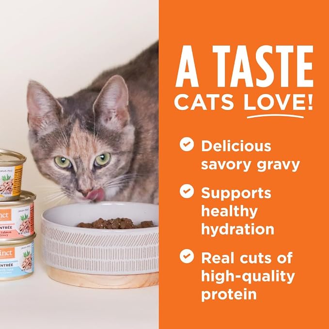 Instinct Flaked Entrée Wet Canned Cat Food - Rabbit, 5.5 Ounce (Pack of 12)