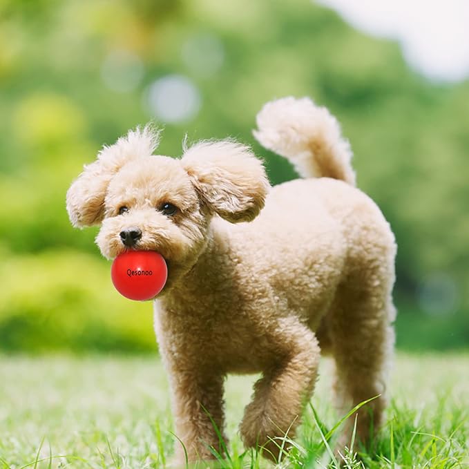 Dog Balls Indestructible,Solid Rubber Bouncy for Dogs Aggressive Chewers Small Breed,Non-Toxic&Floating&High Elasticity,Durable Fetch Ball Small to Chew,Play and Training