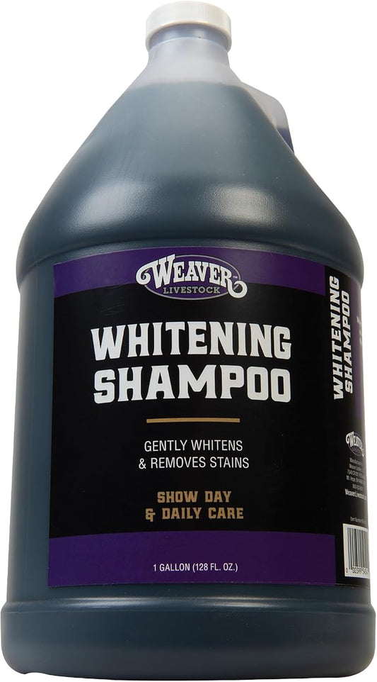 Weaver Livestock Whitening Shampoo for Horses, Pigs, Cattle, Gentle, and Effective Coconut-Based Hide, Hair, and Shampoo, Daily Use, Cattle Show Supplies