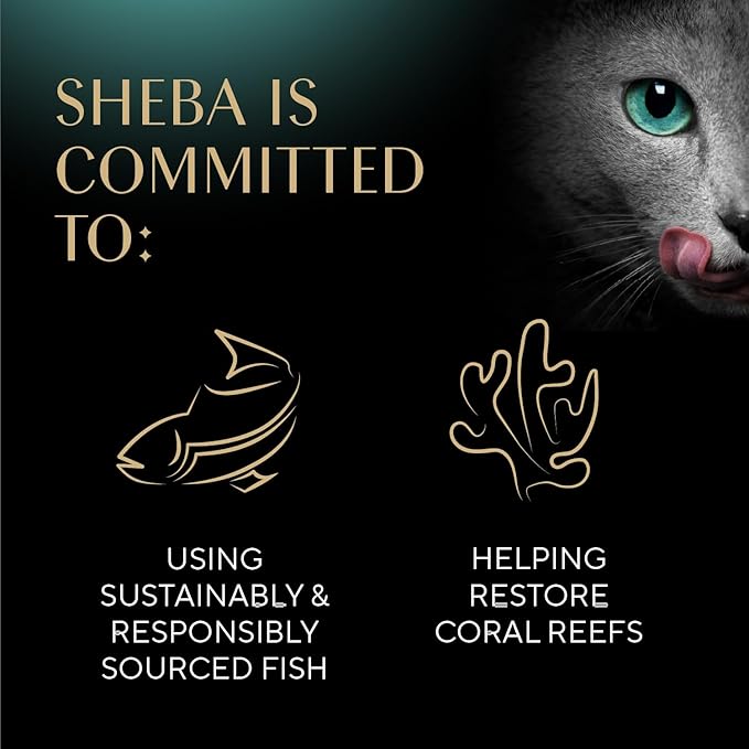 Sheba Selections Filets in Broth,Adult Cat Food Wet Recipe,Meal Complement,Wet Cat Food Variety Pack,Chicken,Chicken & Tuna,or-Chicken & Shrimp Recipe,1.3 oz. Cups,24 Count (Pack of 2)