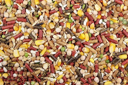 Chicken Feed, Whole Ingredient Chicken Treat, Wied Variety of Grains Poultry Feed (5 Pound (Pack of 1), High-Octain (High Protein))
