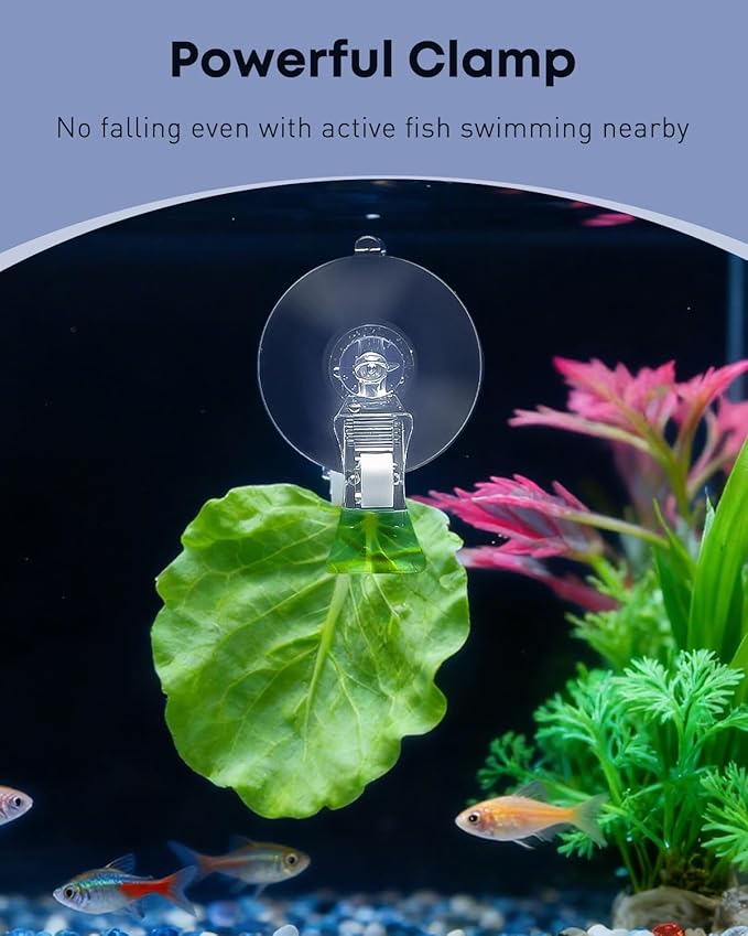 Pawfly 6 Pcs Aquarium Suction Cups with Clips, Aquarium Suction Cup Clips, Clear Plastic Fish Feeding Tool, Plant Leaf Seaweed Clips, Veggie Feed Holder, Underwater Fish Feeder, Fish Tank Accessories