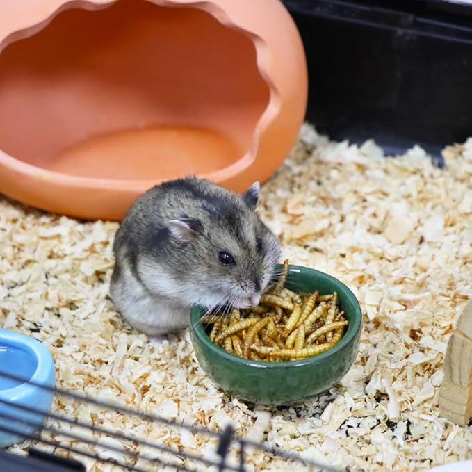 2 Pack Hamster Feeding Bowl, Hedgehog Ice Crack Design Ceramic Dish, Rat Gerbil Small Animal Food and Water Bowl (Colors May Vary)