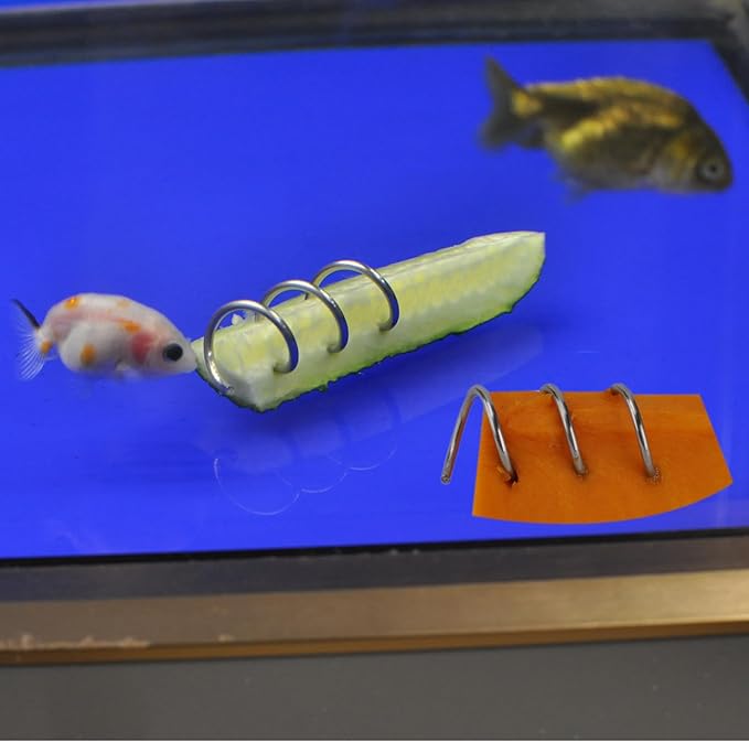 Fish Tank Aquarium Feeder, Vegetable, Loach, Malawi Cichlid Snail Stainless Steel Sinking Feeder 2 Pcs Set