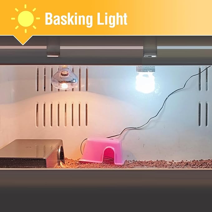 Leoterra 13W 10.0 UVB Bulb – Compact Reptile uvb Light for Bearded Dragon & Green Iguana Hatchlings, Chameleons (Juvenile) & Box Turtles | High Output E26 UVB Lamp(110V)