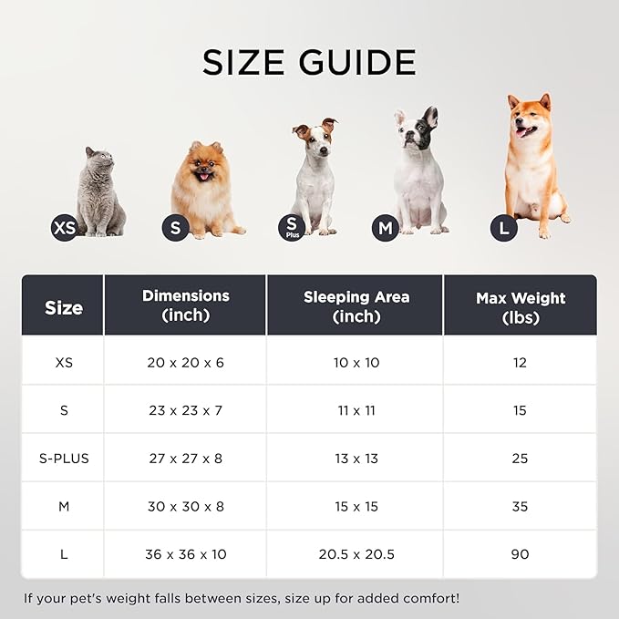Bedsure ComfyFleece™ Donut Small Dog Bed - Dog Beds for Small Dogs with Corduroy Fleece & Anti Slip Bottom, Round Faux Fur Pet Beds with Washable Removable Cover, Amphora, 23x23x7 inches