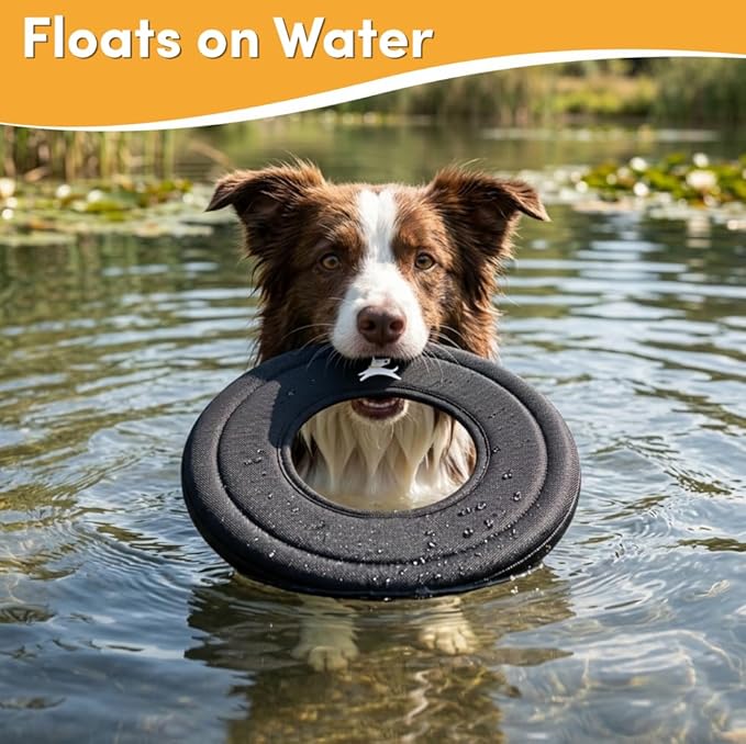 OllyDog Super Flyer, Floating Dog Disc for Water Play – Soft Durable Dog Fetch Toy, Eco-Friendly Recycled Material, Gentle on Teeth, Lightweight Flying Disc for Medium, Large Dogs (Raven, 11")