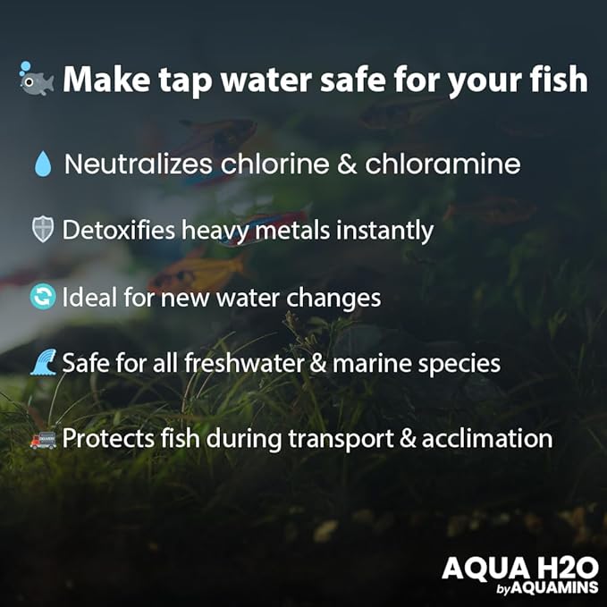 Aqua H2O 3000ml/100fl-oz