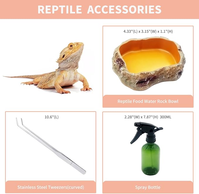 Mini Reptile Terrarium Set,11.8" x 7"x 6" Low Reptile Tank with Full View Visually Appealing，for Insect，Fish，Tarantula，Hermit Crab，Jumping Spider，Iguana，Tortoise，Leopard Gecko，Frog，Bearded Dragon