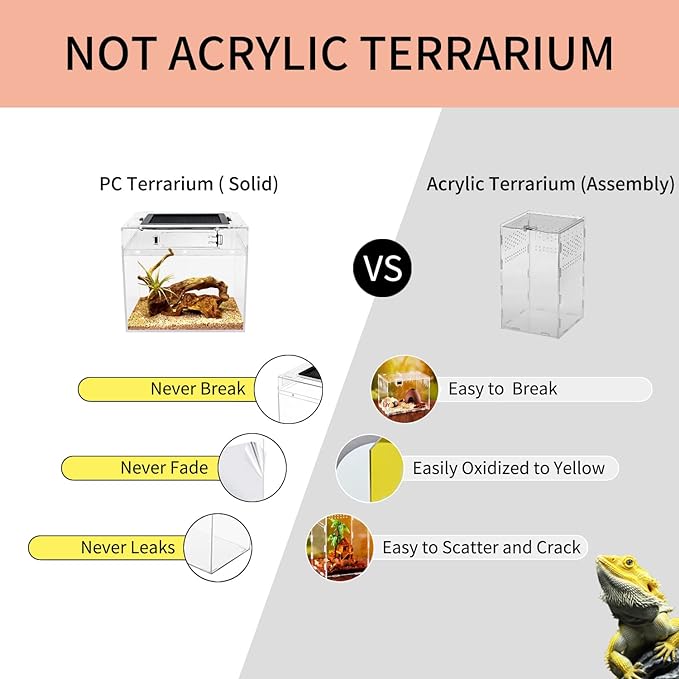 Reptile Growth mini Reptile Terrarium,8" x 8"x 8" Reptile Tank with Full View Visually Appealing，for Insect，Fish，Tarantula，Hermit Crab，Jumping Spider，Iguana，Tortoise，Leopard Gecko，Frog，Bearded Dragon