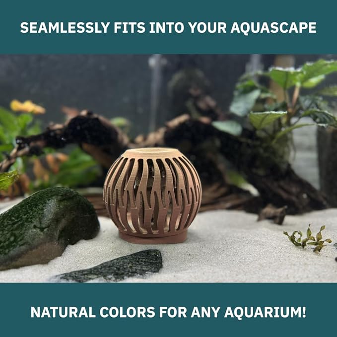 Shrimp Feeder and Hide for Freshwater Aquariums – Modular Design, Aquascape Friendly, Designed & Manufactured in USA (Wood)