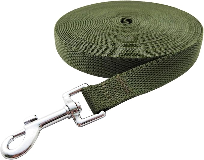 Nylon Training Dog Leash for Small Medium Large Dogs, 15ft 20ft 30ft 50ft Long Leash Dog/Puppy Lead for Obedience Recall Training, Camping (20ft, Green)