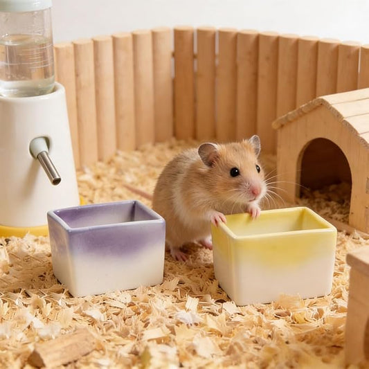 2 Pack Small Pet Ceramic Food Bowl and Water Dish Anti-Turning Cute Feeder for Hamster Guinea Pig Hedgehog Squirrel Rat (Purple and Yellow