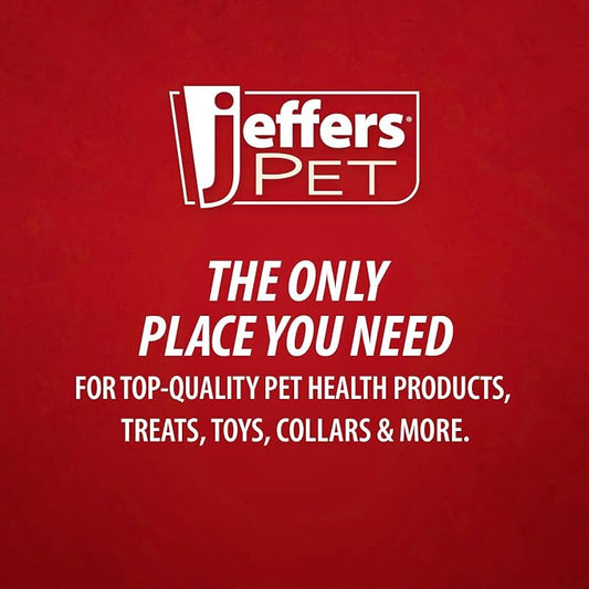 Jeffers Pet Apricot Kernel Exfoliating & Moisturizing Shampoo for Dogs & Cats, 128 oz - Concentrated Coconut Based Formula, Soap Free, Gentle Coat Cleansing, Vitamin Enriched Grooming Care, USA Made