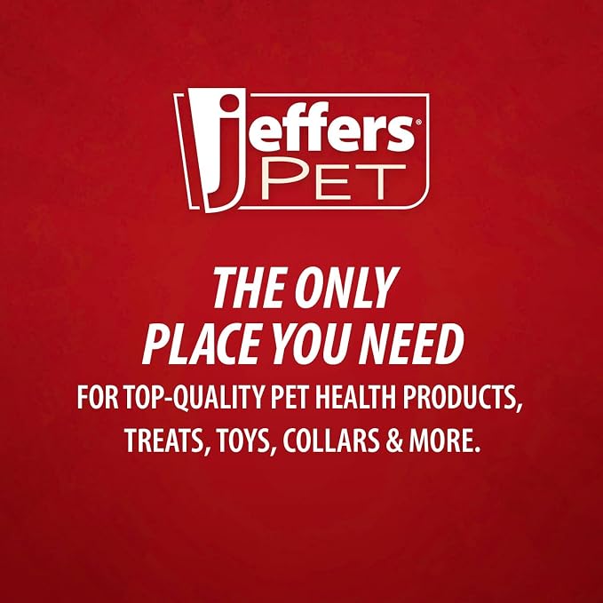 Jeffers Pet Apricot Kernel Exfoliating & Moisturizing Shampoo for Dogs & Cats, 17 oz - Concentrated Coconut Based Formula, Soap Free, Gentle Coat Cleansing, Vitamin Enriched Grooming Care, USA Made